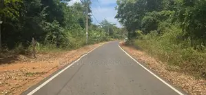 Land For Sale in Sigiriya - සීගිරියෙන් ඉඩමක් විකිණීමට