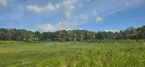 Land for Sale in Dambulla - දඹුල්ලෙන් අනර්ග ඉඩමක් විකිණීමට