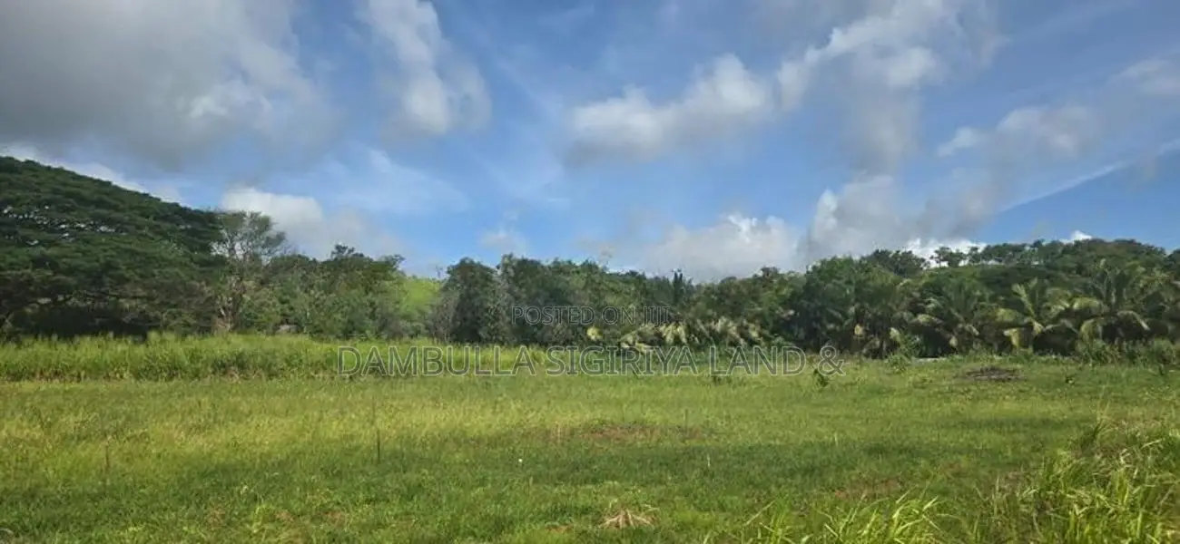 Land for Sale in Dambulla - දඹුල්ලෙන් අනර්ග ඉඩමක් විකිණීමට