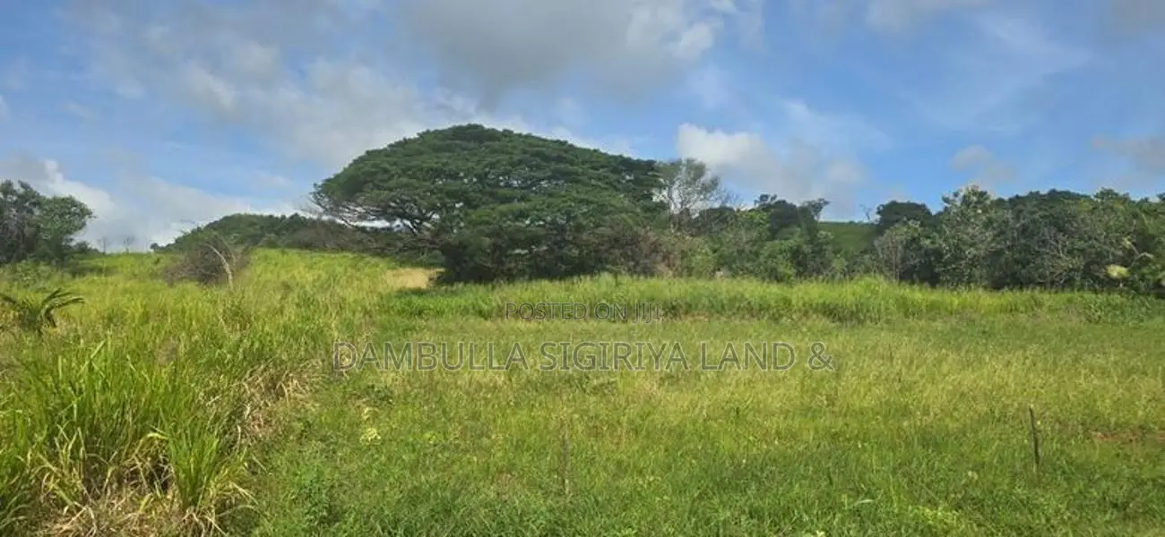 Land for Sale in Dambulla - දඹුල්ලෙන් අනර්ග ඉඩමක් විකිණීමට