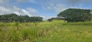 Land for Sale in Dambulla - දඹුල්ලෙන් අනර්ග ඉඩමක් විකිණීමට