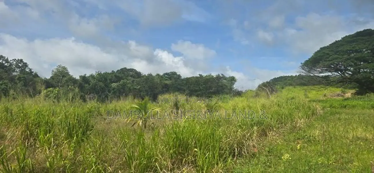 Land for Sale in Dambulla - දඹුල්ලෙන් අනර්ග ඉඩමක් විකිණීමට