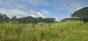Land for Sale in Dambulla - දඹුල්ලෙන් අනර්ග ඉඩමක් විකිණීමට