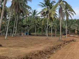 Kandy Road Prime Grup New Lands