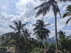 Kandy Road Prime Grup New Lands