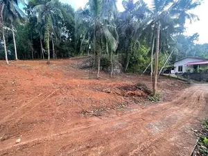 Nelumdeniya - Alawwa පාරෙන් පර්චස් 50 ක වටිනා ඉඩමක්