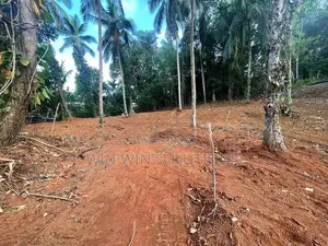 Nelumdeniya - Alawwa පාරෙන් පර්චස් 50 ක වටිනා ඉඩමක්