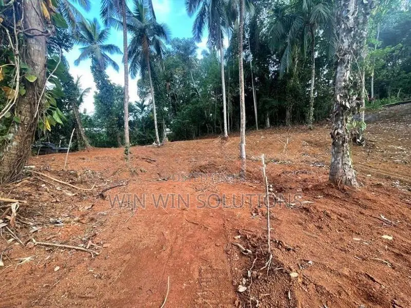 Nelumdeniya - Alawwa පාරෙන් පර්චස් 50 ක වටිනා ඉඩමක්