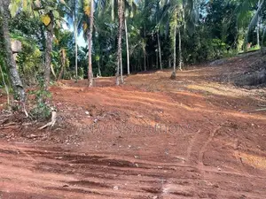Nelumdeniya - Alawwa පාරෙන් පර්චස් 50 ක වටිනා ඉඩමක්