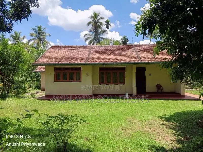 Alawwa නිදහස් නිස්කලංක වටපිටාවක පර්චස් 114 ක වටිනා ඉඩමක්