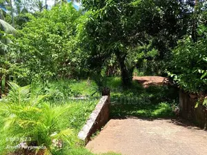 Alawwa නිදහස් නිස්කලංක වටපිටාවක පර්චස් 114 ක වටිනා ඉඩමක්