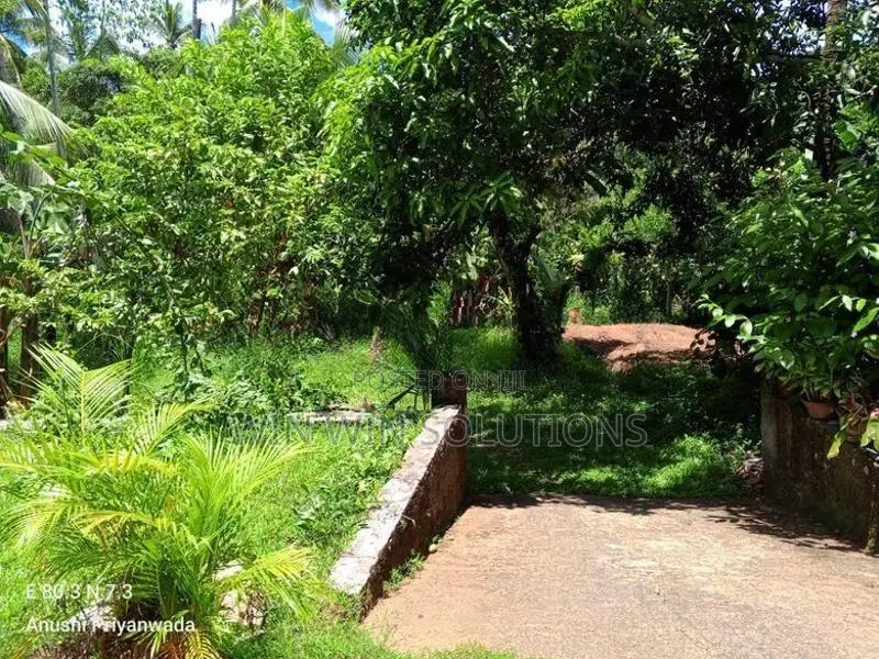 Alawwa නිදහස් නිස්කලංක වටපිටාවක පර්චස් 114 ක වටිනා ඉඩමක්