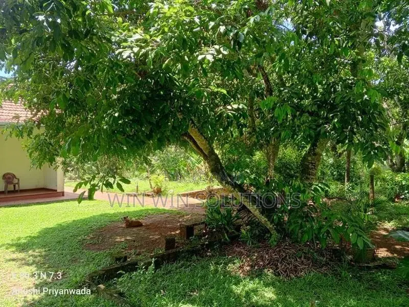 Alawwa නිදහස් නිස්කලංක වටපිටාවක පර්චස් 114 ක වටිනා ඉඩමක්