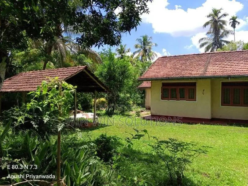 Alawwa නිදහස් නිස්කලංක වටපිටාවක පර්චස් 114 ක වටිනා ඉඩමක්