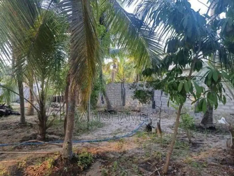 Land For Sale In Nintavur Sainthamaruthu