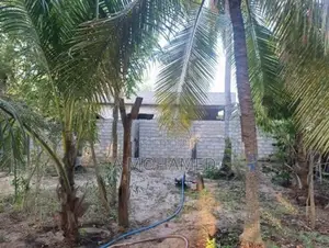 Land For Sale In Nintavur Sainthamaruthu