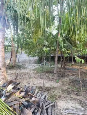 Land For Sale In Nintavur Sainthamaruthu