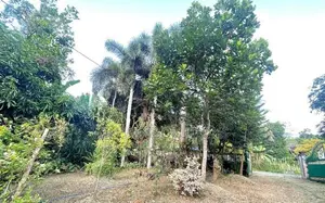 Prime Land For Sale in Polgahawela