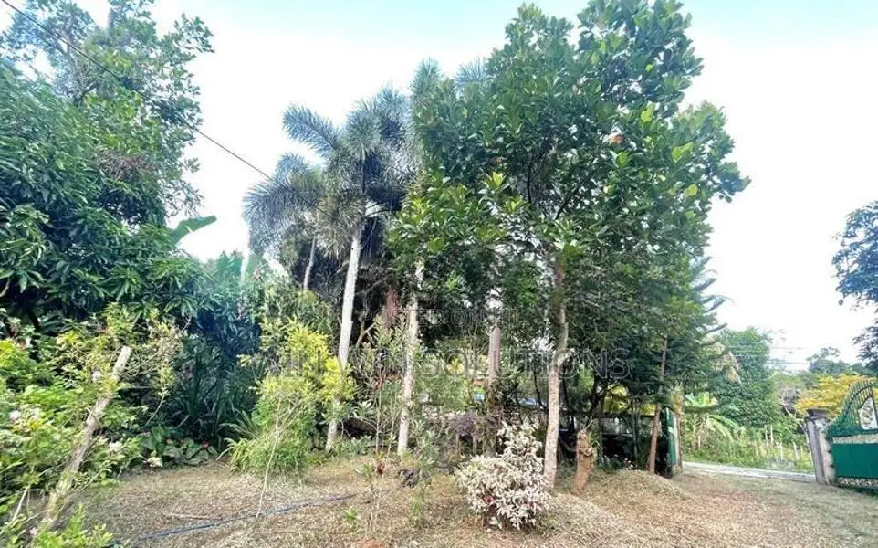 Prime Land For Sale in Polgahawela