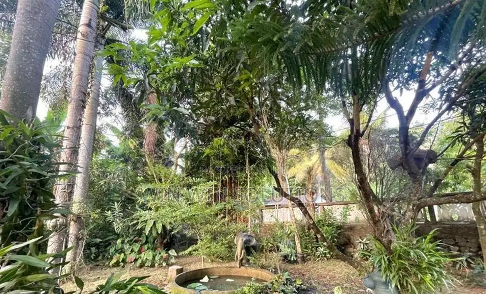 Prime Land For Sale in Polgahawela