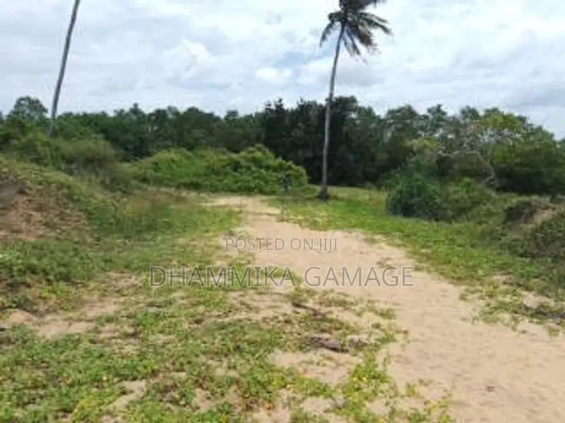 මුහුදට මායිම් සුන්දර ඉඩම විකිනිමට