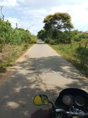 මුහුදට මායිම් සුන්දර ඉඩම විකිනිමට