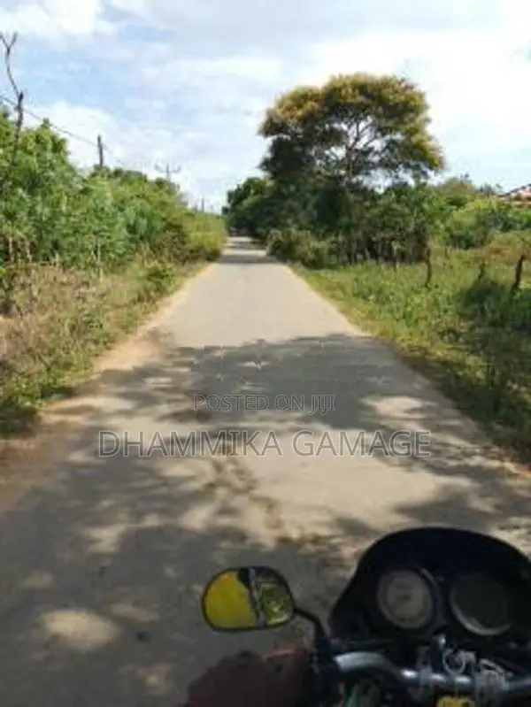 මුහුදට මායිම් සුන්දර ඉඩම විකිනිමට