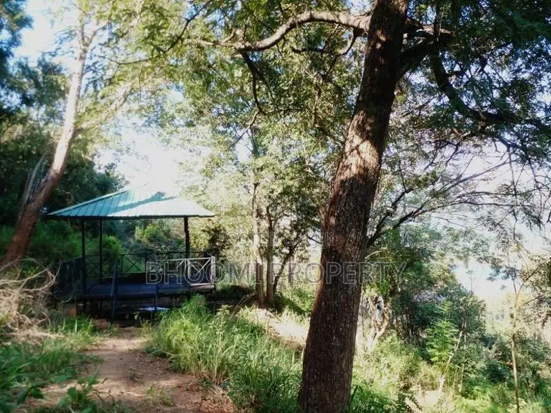 Land for Sale in Digana