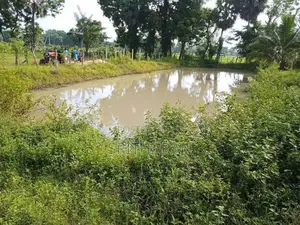 Integrated farm,House,Hardware With Sand Yard For Sale - 437 Perches