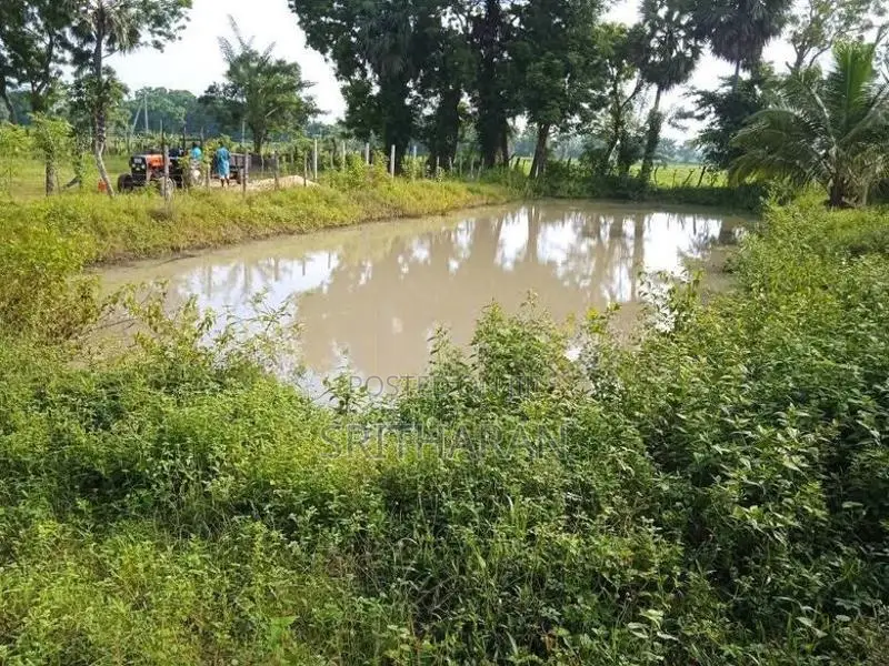 Integrated farm,House,Hardware With Sand Yard For Sale - 437 Perches