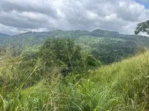 Lands for sale In Nillamba