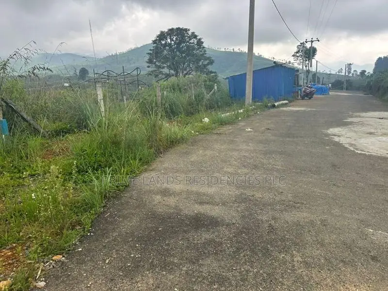 Lands for sale In Nillamba
