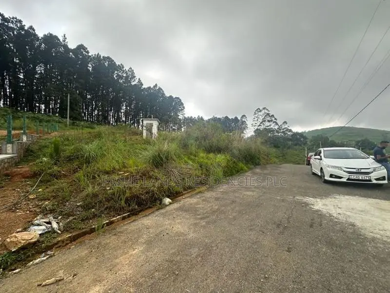 Lands for sale In Nillamba