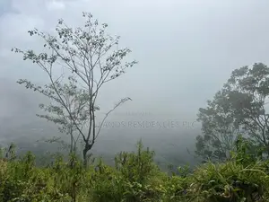 Lands for sale In Nillamba
