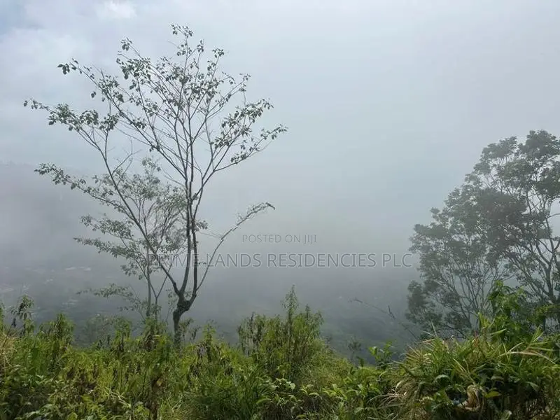 Lands for sale In Nillamba