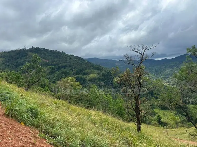 Lands for sale In Nillamba