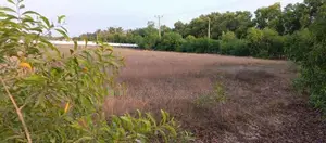 காணி விற்பனைக்கு - Batticaloa