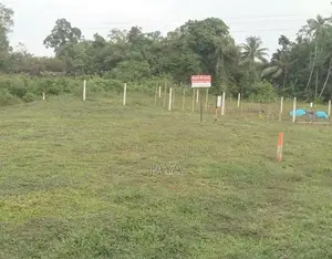 හොරණ නගරය සමීපයෙන් ඉඩමක්