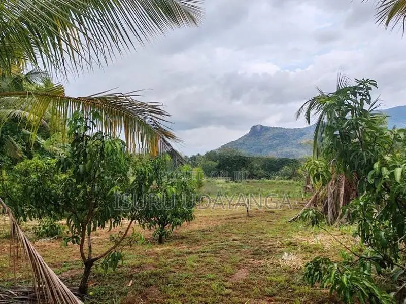 ප්‍රධාන පාරට මුහුනලා සින්නක්කර ඉඩම් කැබලි කීපයක් විකිනීමට.