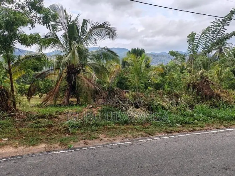 ප්‍රධාන පාරට මුහුනලා සින්නක්කර ඉඩම් කැබලි කීපයක් විකිනීමට.