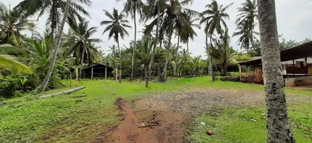 Super valuable land for sale in Pamunugama, Eppamulla (C7-1518)