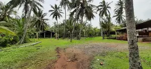 Super valuable land for sale in Pamunugama, Eppamulla (C7-1518)