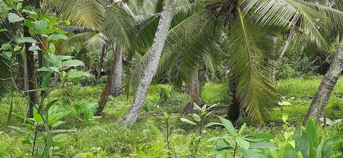 Super valuable land for sale in Pamunugama, Eppamulla (C7-1518)