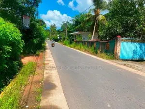 Large Cinnamon Land for Sale – Thiththagalla, Galle