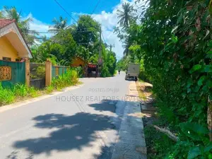 Large Cinnamon Land for Sale – Thiththagalla, Galle