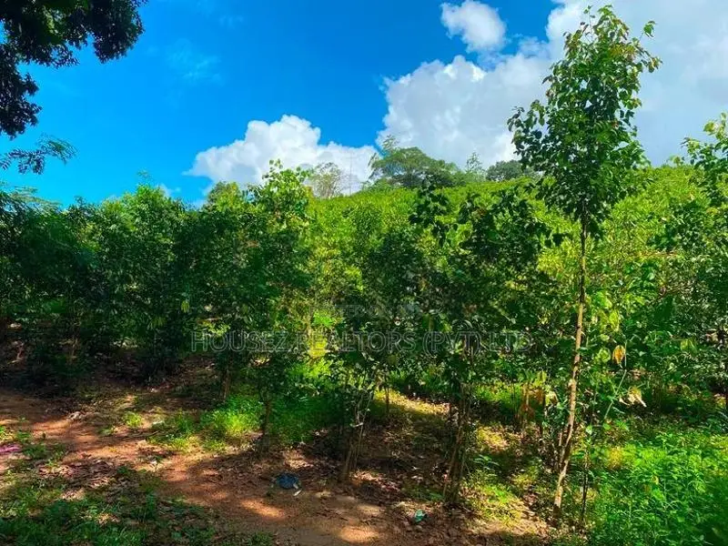 Large Cinnamon Land for Sale – Thiththagalla, Galle