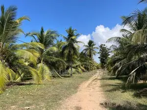 Prime Agricultural Land for Sale Puttalam