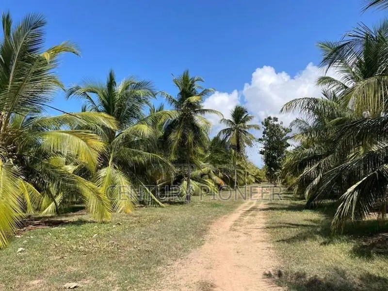 Prime Agricultural Land for Sale Puttalam