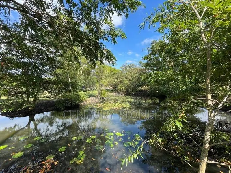 Prime Agricultural Land for Sale Puttalam