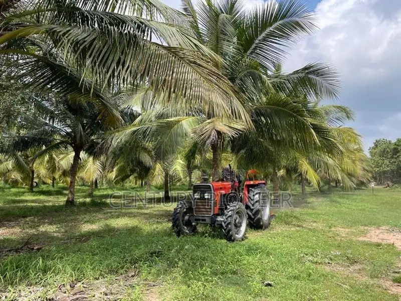 Prime Agricultural Land for Sale Puttalam